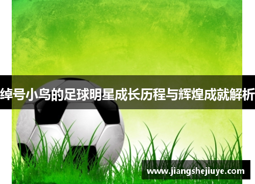 绰号小鸟的足球明星成长历程与辉煌成就解析